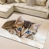 1Pcs Anti Fatigue Kitchen Rugs Cat On the Bed Waterproof Non-Slip Thick Cushioned Kitchen Mat Heavy Duty Comfort Standing Mat for Kitchen