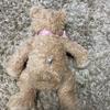 [USED] Harrods Teddy Bear