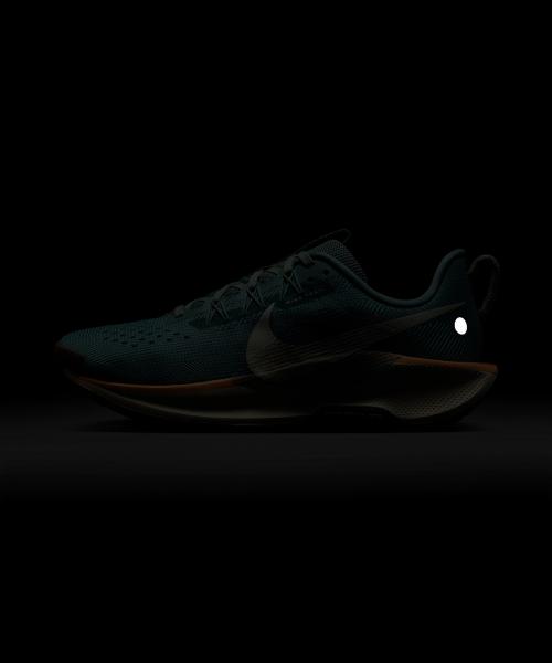 Nike Pegasus Trail 5 W DV3865-010 [Shipped from Korea] 100% Authentic