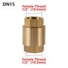 1Pcs In-Line Spring NPT Brass Check Valve Female Thread Anti Backflow Valve Durable One-Way Valve