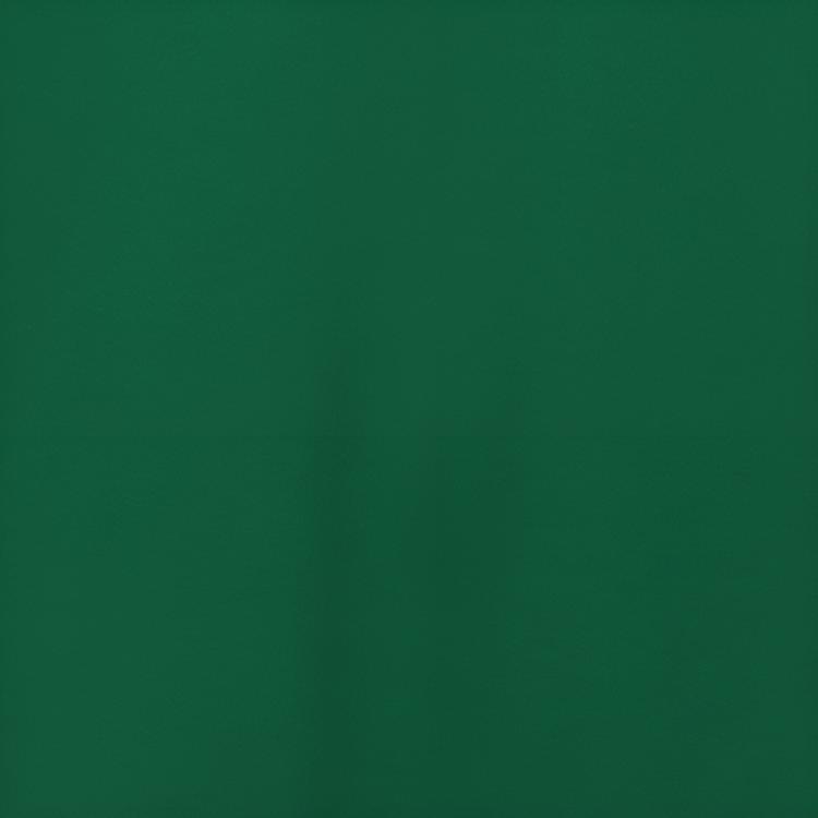 Nike NBA Youth Letter Logo Breathable Sports Short Sleeve T-Shirt Kids Tops Green 3Z2B7BBWZ-CEL