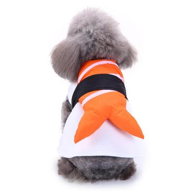 Katten – Kleding voor katten