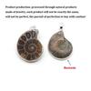 Natural Stones Pendants Ammonite Seashell Snail Ocean Reliquiae Conch Charms Jewelry Making DIY Animal Necklace Accessories 1pc