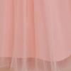 Girls' Embroidered Lace Flower Princess Dress