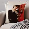 Popular fashion Chinese singer LLi Yuchun Cushion Cover Pillowcase Antidustmite Invisible Zipper Short Plush Sofa Cushion