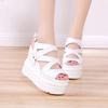 Fashion 12CM Open Toe Platform Mules Sandals  Ladies' Slippers Platform Luxury Slides Slipers Women Designer Summer Rome Slippers Platfo