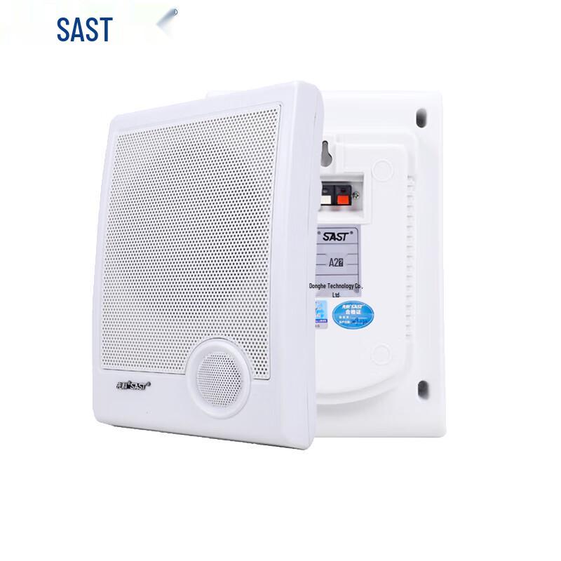 SAST Commercial Wall-Mounted Speaker CN plug (adapter included)