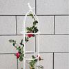 Vine Pillar Gardening Tomato Balcony Planting Rack Support Rod Climbing Vine Rack Flower Pot Holder