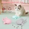 1pc Cat Feeding Slow Food Dispenser, Small Fish Shaped Leakage Toy, Soft Silicone Material, Can Be Used for Freeze-drying Cats