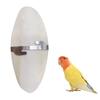 Pet Bird Chewing Treats With Odorless Calcified Cuttlefish Bone For Parrots And Small Birds