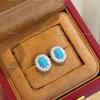 Light Luxury High Quality Turquoise Earrings For Women Fashion Oval Wire Drawing Blue Earings Stud Wedding Jewelry
