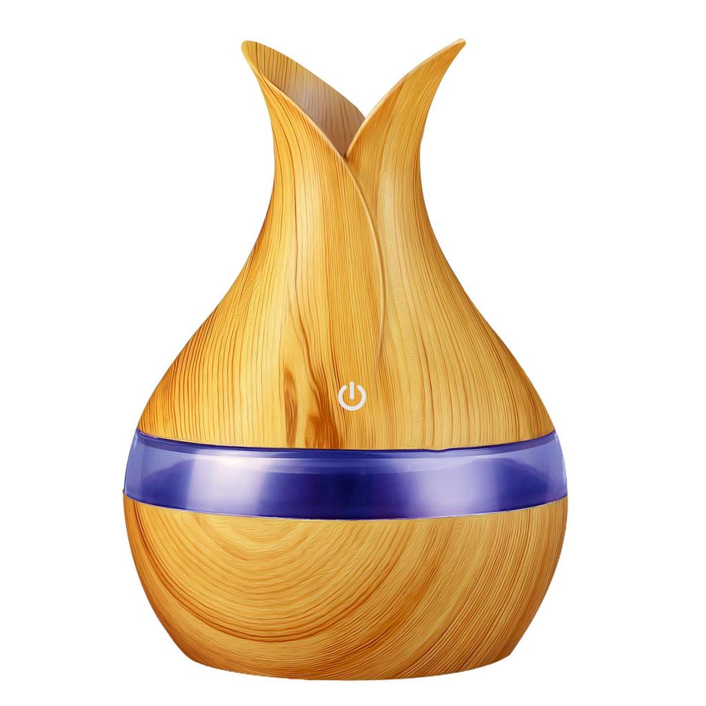 USB Air Purifier & Aromatherapy Humidifier - 300ml Capacity