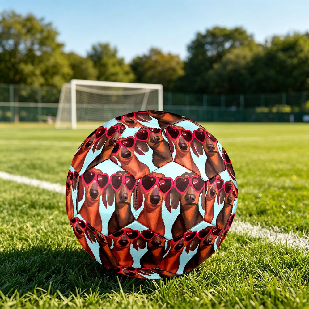 1pc Heart Glasses Dogs Theme Soccer Ball Football, Size 5, Lightweight PVC, Outdoor Training Soccer Ball,Gift j61435