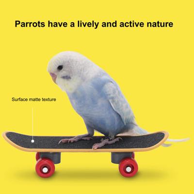 Yousheng Parrot Scooter Matte Surface Mini Skateboard Parrot Toy Flexible Wheel Bird Training Toy for Budgies Parakeets