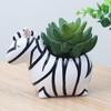 Niedlicher Harz-Tier-Blumentopf Mini-Sukkulenten-Pflanzgefäß Kleine Gartenaccessoires Dekoration für die Innendekoration