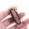 Kitten Funny Novelty Gag Toys Battery Cockroach Training Play Toy Kids