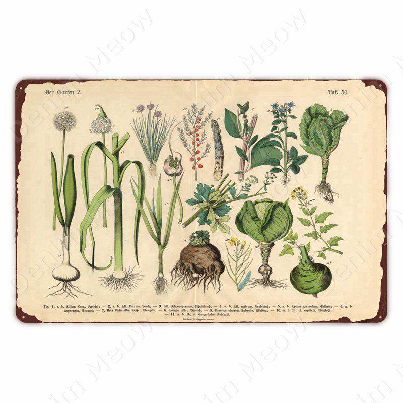 VintageWildFlowersMetalSign Vintage Metal Tin Sign - Wild Flowers Plant Herbarium Art Plaque, Kitchen/Home Wall Decor