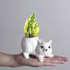 Ceramic Fleshy Plant Pot Squirrel Planter Plant Flowerpot Ornament for Fleshy Plant Cactuses Container for Home Balcony