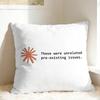 Pillow Case Code This Claude Code Soft  Pillow Cover For Living Room Sofa Fashion Pillowcases