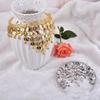 Retro Multi-Sequin Indian Coin Headpiece & Belly Dance Headband