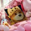 Cartoon Game P-Party Animals Pillow Case Anti-Dustmite Pillowcase Invisible Zipper Silky Short Plush Sofa Cushion Cover