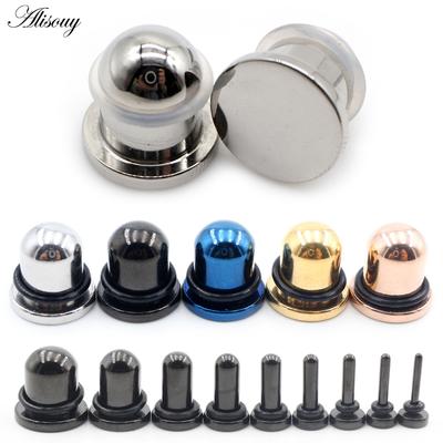 Alisouy 2PC Stainless Steel Solid Smooth Cylinder Ear Gauges Taper Plugs Tunnel Expander Stretcher Earring Piercing Body Jewelry