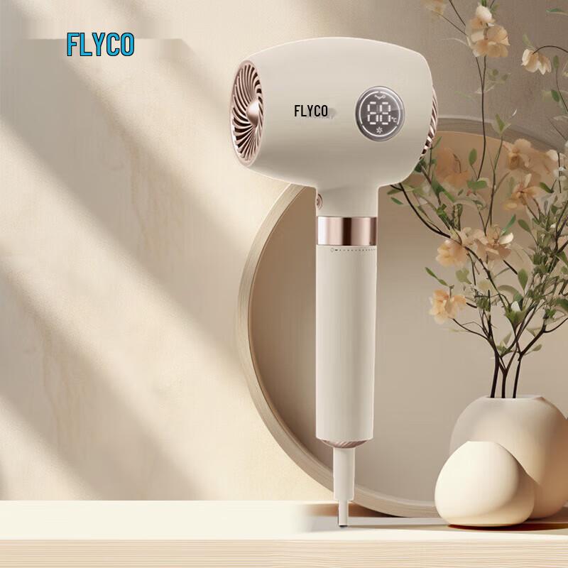FLYCO FH6369 High Power Portable Hair Dryer
