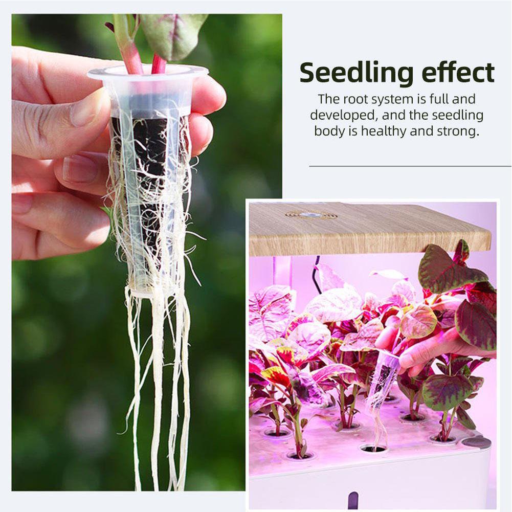 50Pcs Seed Grow Sponges Replacement Root Growth Pods Hydroponic Seedling Starter Plugs For AeroGarden Indoor Garden Planting