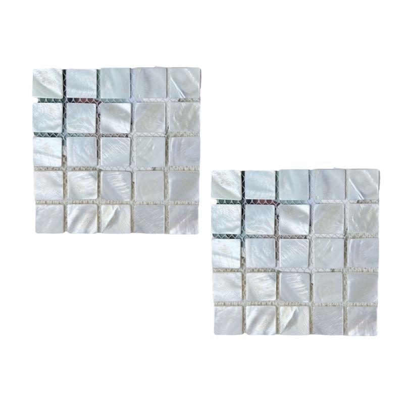 Set of 2 Shell Coasters Easy to Clean and Maintain Table Mats for Daily Use
