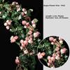 Plastic Silk Artificial Australian Rose Vine 10 Colors 1.8m 54 Heads Hanging Flowers Bud Rattan Wall Decor Rattan