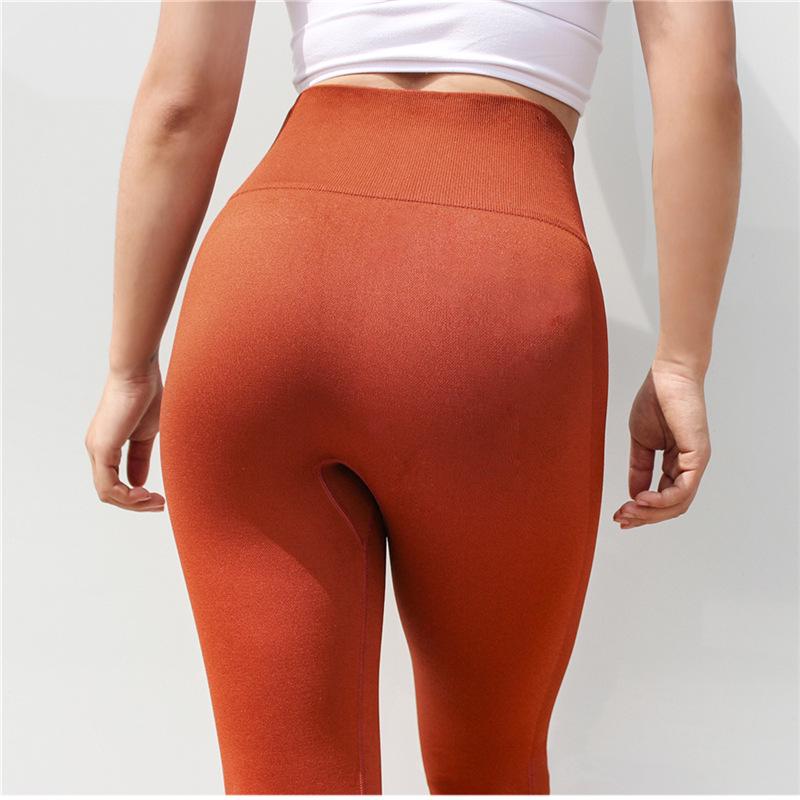 burnt orange workout leggings,OFF 55 