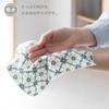 Tramparan Women's Gauze Handkerchief 8-Piece Set - Individually Wrapped, Made in Japan 24x24cm