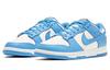 Nike Dunk Low 'Coast' Women's DD1503-100