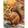 5D DIY diamantová malba Zvířecí veverka Umělecká sada křížového stehu Kamínkový obrázek Úplné diamantové vyšívání Mozaikové dekorace dárek