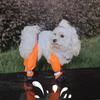Water Proof Dog Shoes,Dog Protectors Shoes With Suspenders Slip Reflective Dog Boots,Dirty-proof & Anti-Slip Dog Shoes.