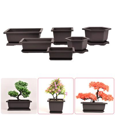 Macetas y jardineras – Contenedores para plántulas