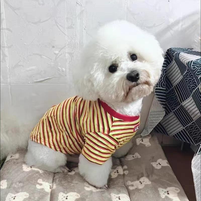 Cat and dog clothes new autumn striped T-shirt short-sleeved Teddy Schnauzer Shiba dog medium and small dog pet clothes