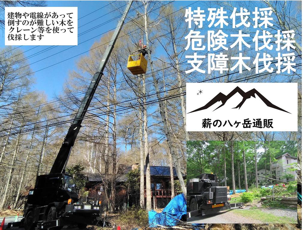 No36 Solo Camping Hardved og bartre ved 2-delt sett (inkluderer opptenning) Lengde ca. 17cm Hjemlevering 80 størrelse Kompakt størrelse