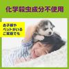 Bulk Earth Garden Centipede Placeable 1 Centipede Invasion Annoying Pest Home Underfloor Purchase Killer, Type, Count, Prevention, Repellent,