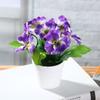1 Set Floare Artificială din Mătase Panseluță Bonsai Simulează Plantă cu Ghiveci de Plastic Decor Anul Nou Nuntă Petrecere Casă