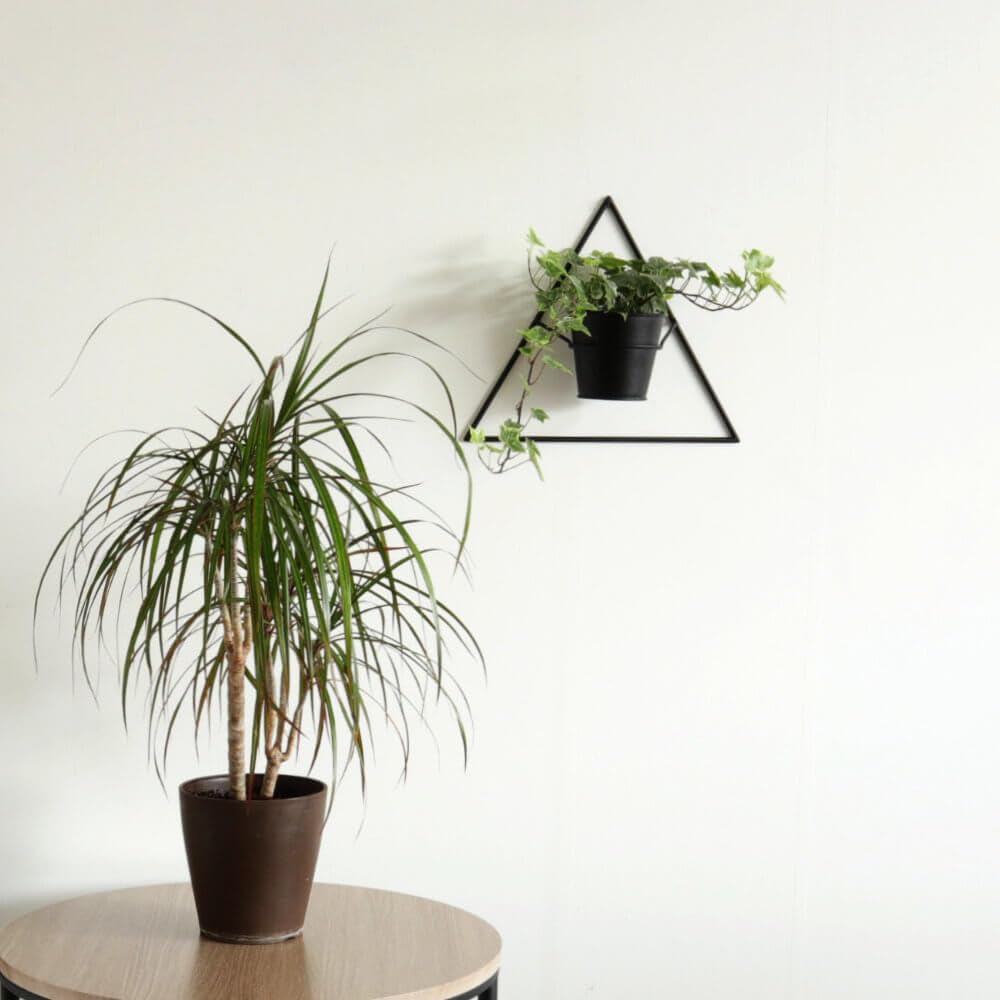 

Kawabata Trading Wall Decor, Wall-Mounted Planter, Size 3 Pot, Iron, Modern, Stylish, Black, Entryway, Living Room, Interior Decor, Flower Pot