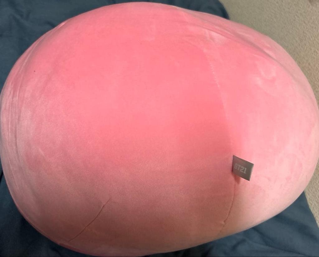 [USED] BT21 Mochi Mochi L Size TATA