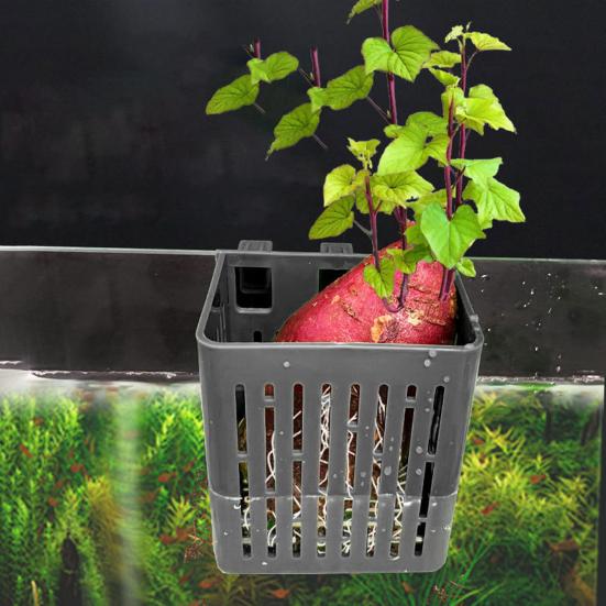Pflanzenhalter für Aquarien, hitzebeständig, Hydrokulturkorb, Hängende Pflanzbecher für Aquarien mit Haken für Unterwasser-Wasserpflanzen