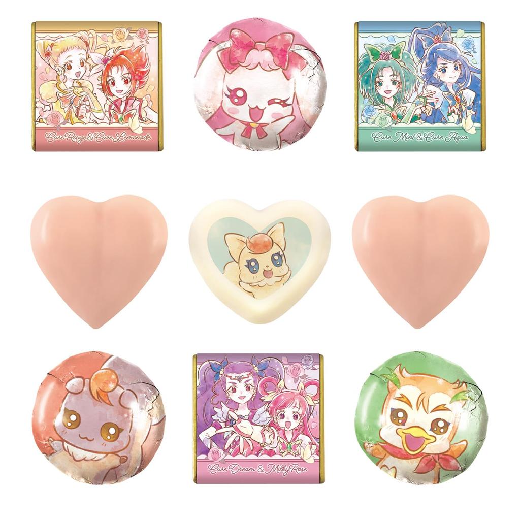 Heart Pouch Chocolate Gift PreCure 5 GoGo Candy piece & Semi-Chocolate Toy/1