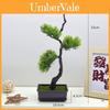Faux Pine Tree Artificial Plastic Landscape Accent For Home Office Decor