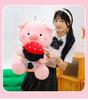 Large Plush Pig Doll - Cute Stuffed Animal Gift for Girlfriend, Valentine's Day, or Birthday - Pig Holding a Flower