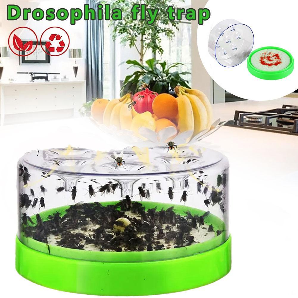 Light Fly Trap Home Pest Control Electric Bug Zapper UV Light Rotating Fly Catcher For Restaurant Kitchen Indoor Outdoor Safe