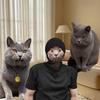 Entzückende Katzen-Gesichtsmaske, Weiches atmungsaktives Netz, Lebensechtes Design, Waschbares Geschenk für Tierliebhaber, Toll für Feiertagsfeiern