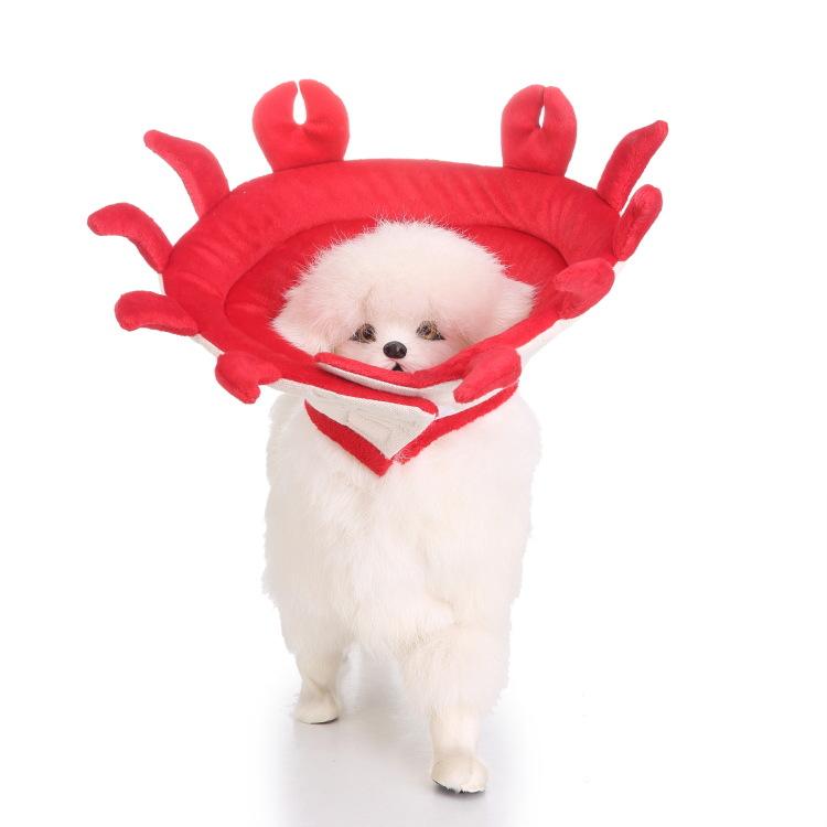 Potřeby pro domácí mazlíčky Ochranný obojek Ochranný obojek pro psy Ochranný obojek Květina Ochranný obojek Pet Beauty Medical Cover