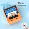 YINLIFUN DP30S Smart Portable Label Printer CN plug (adapter included)